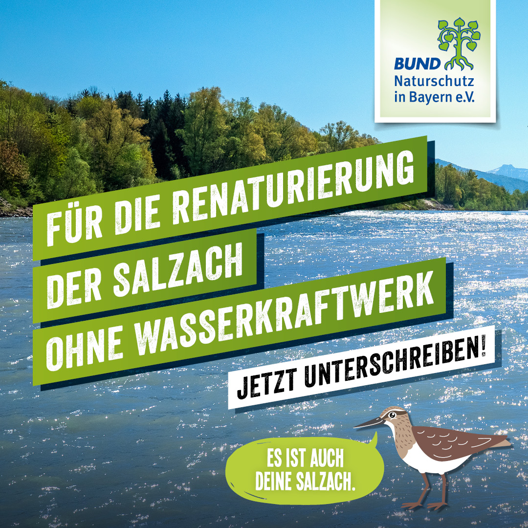 BN Aktion Salzach ohne Wasserkraft V2 Instagram Post